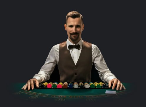 6net